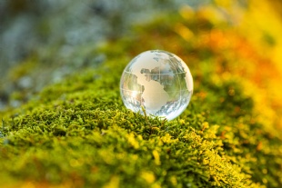 Sustainability is a story worth telling